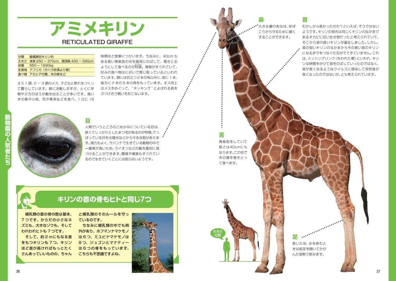 http://news.yoshimoto.co.jp/photos/uncategorized/2015/08/10/20150810112515-6410d17896a3edf22bed940b1936c348878c1acc.jpg